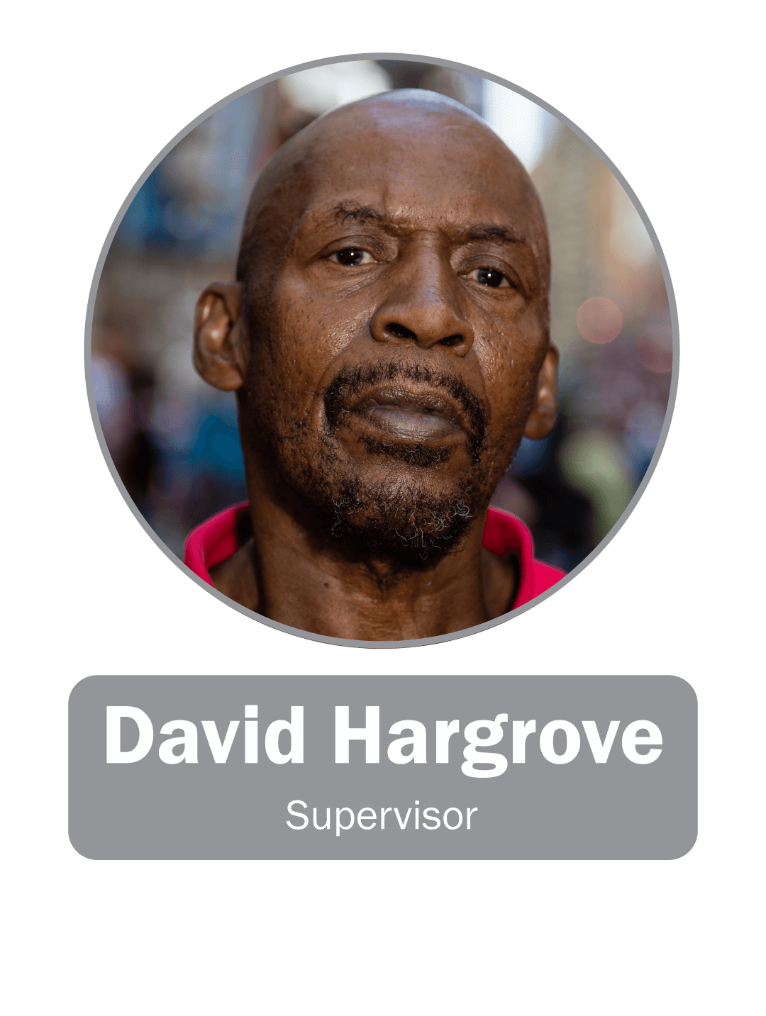 David Hargrove | Supervisor