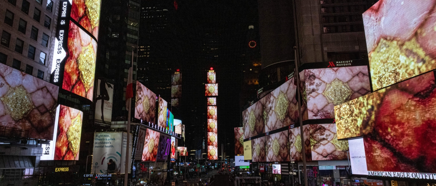 Patrón Mono: Ríos Libres, Pueblos Vivos by Carolina Caycedo on the screens of Times Square at midnight